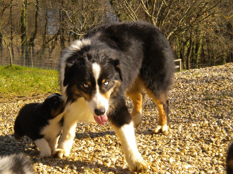 inka