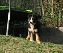 betty